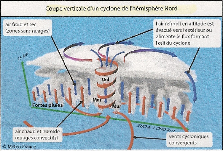 Image attachée