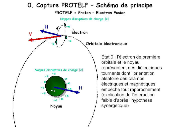 Image postée par l'utilisateur