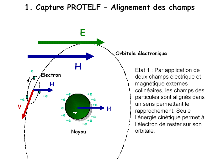 Image postée par l'utilisateur