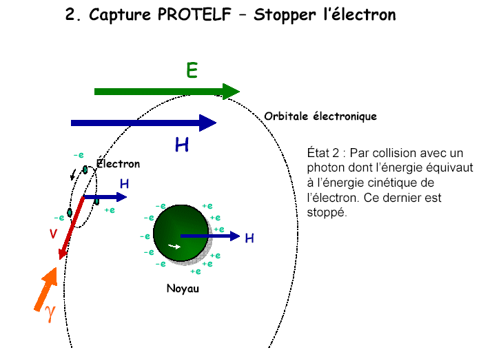 Image postée par l'utilisateur