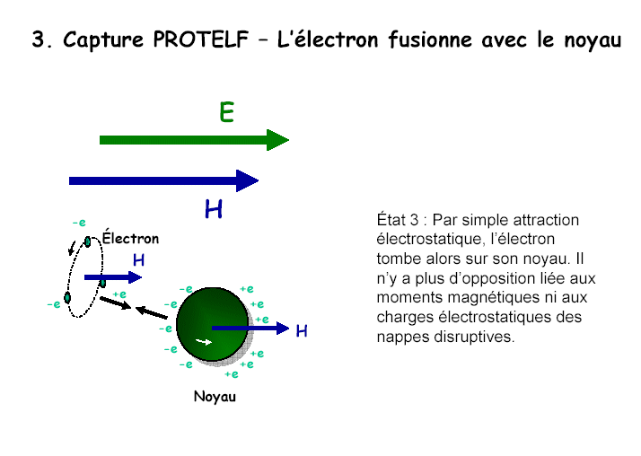 Image postée par l'utilisateur